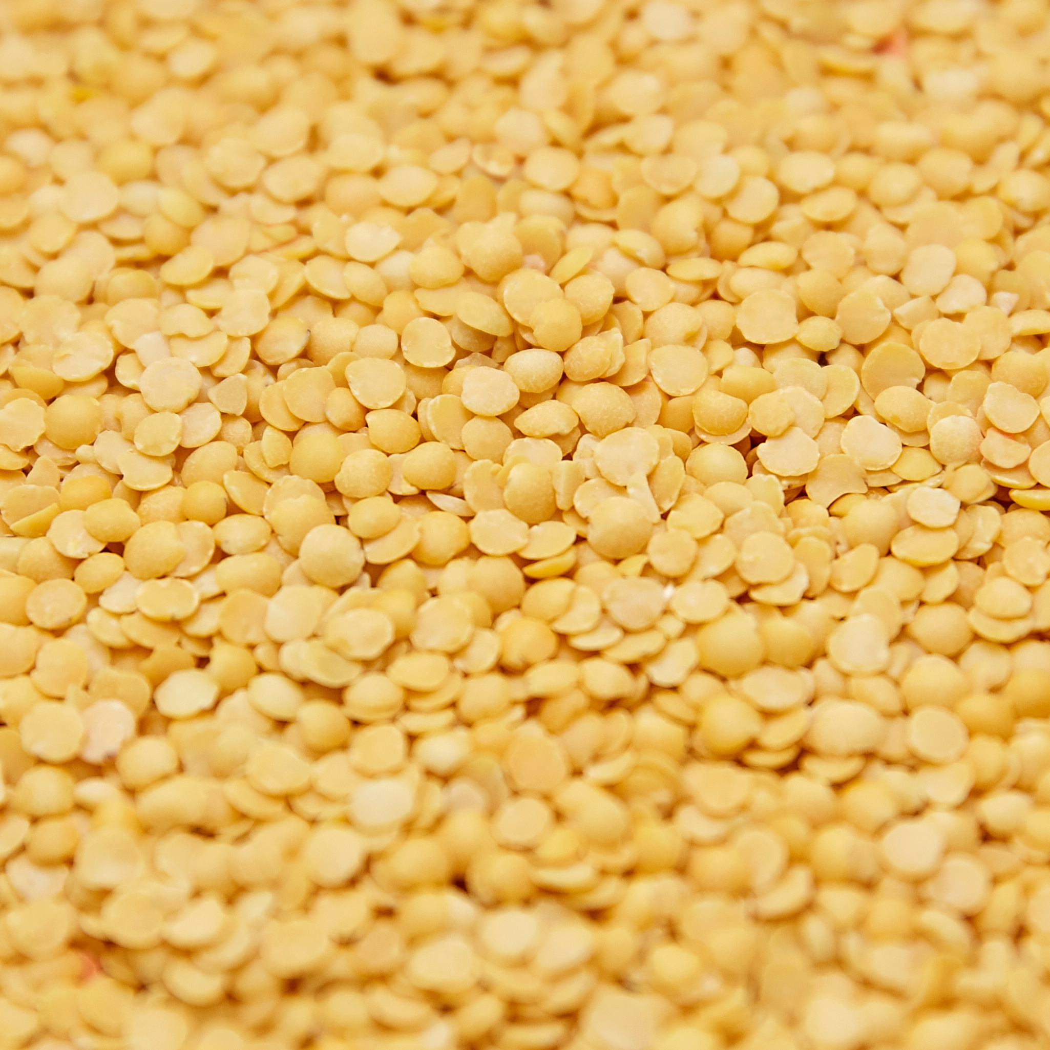 Sarı Mercimek